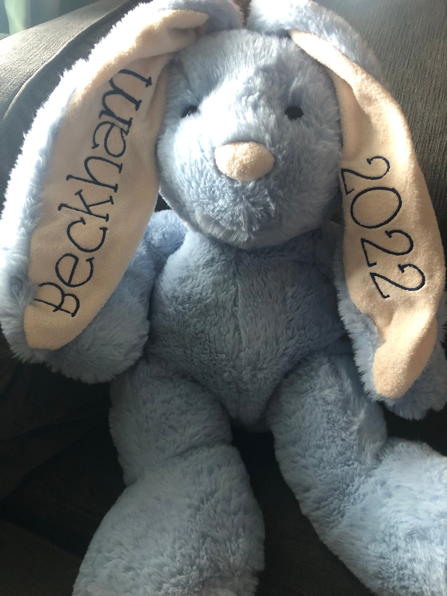 Stuffed Bunny with Embroidered Ear
